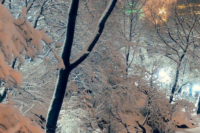 서초동 임플란트 당일 가능한 조건은 관련 이미지 38