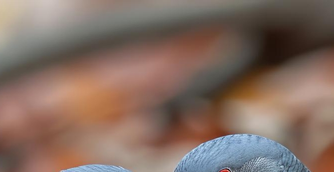 임플란트 정품 확인하고 내게 맞는 식립방법으로 관련 이미지 16