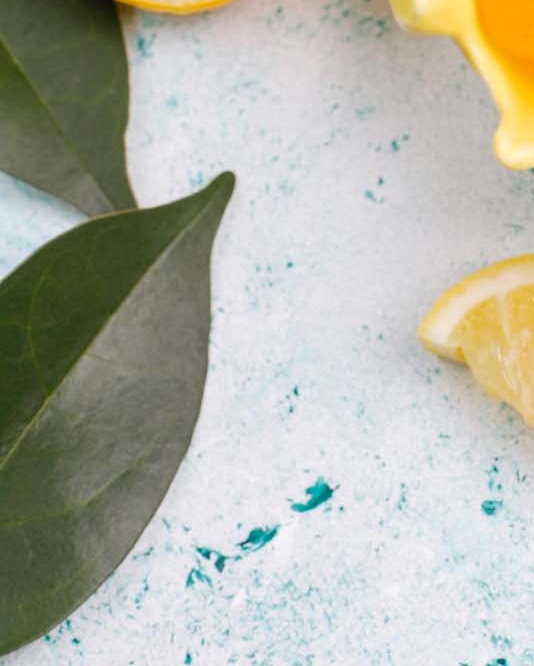 강남클리어치과 하얀 치아를 만들기 위한 방법은 관련 이미지 21