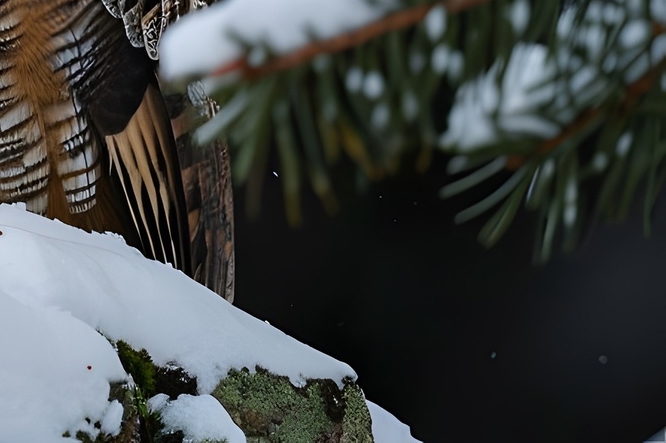 급성장염에 좋은 음식 증상 낫는기간은? 관련 이미지 16