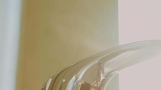 치아 스케일링 주기 치석관리를 위해서 관련 이미지 25