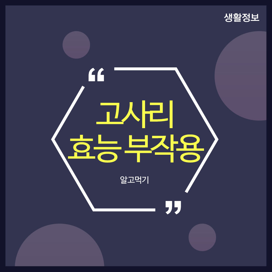 고사리효능부작용 알고먹기 관련 이미지 1