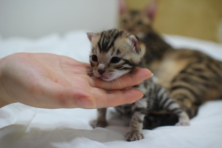 성장모습~ 관련 이미지 3