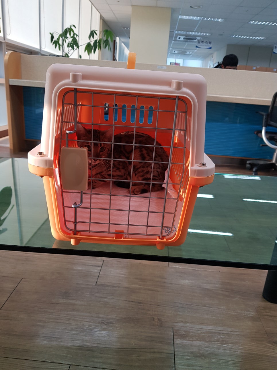 미세먼저에 둘러쌓인 서해대교 관련 이미지 2