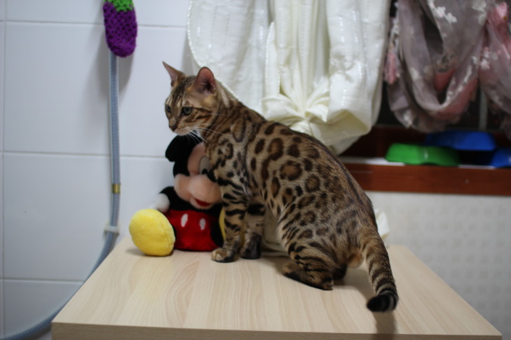 레이 녀석 몇달전 ~ 관련 이미지 1