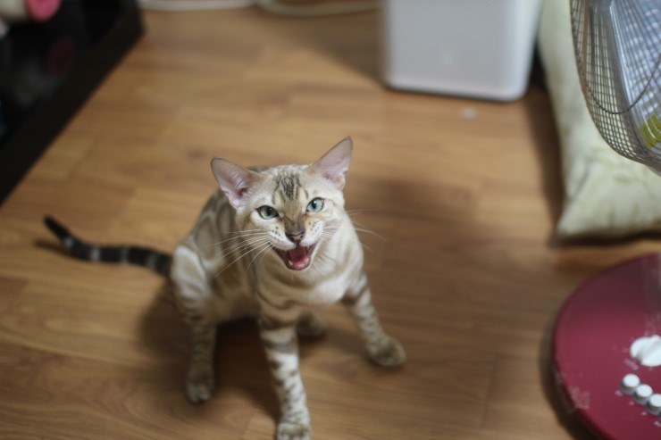 화난 영웅이~ 관련 이미지 2