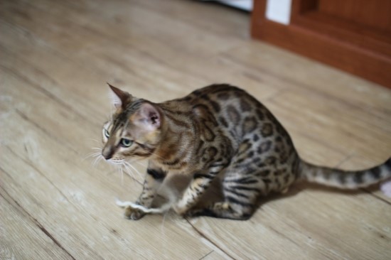 어른이 되어가는 엘리와 레이~ 관련 이미지 5