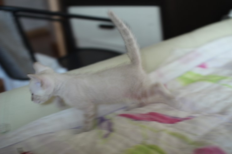 실링스 여아 입니다~ 관련 이미지 9