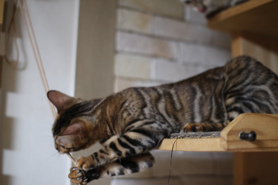 새해 복 많이 받으세요~ 관련 이미지 6