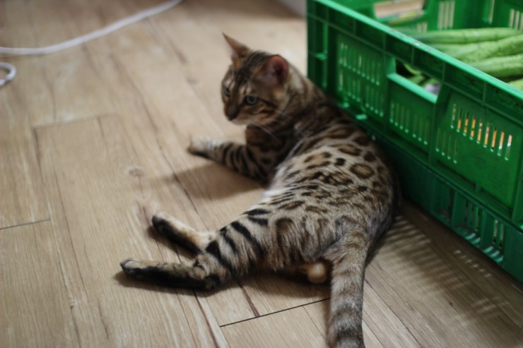 멋있게 성장중인 레이 ㅎㅎ 관련 이미지 3