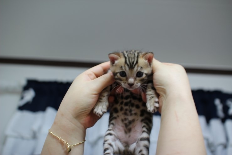 레이 첫째~ 관련 이미지 3