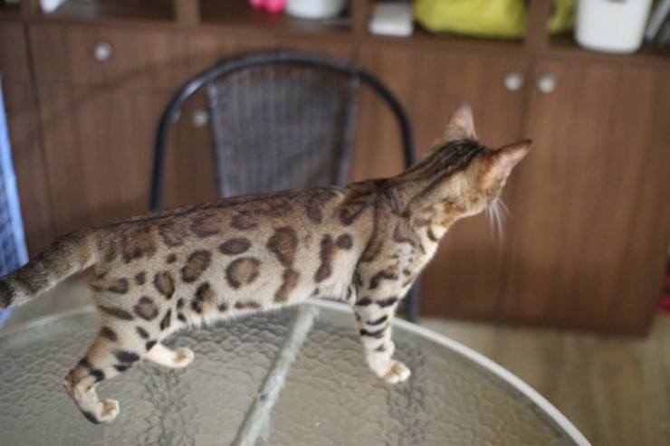 아이들.. 관련 이미지 3