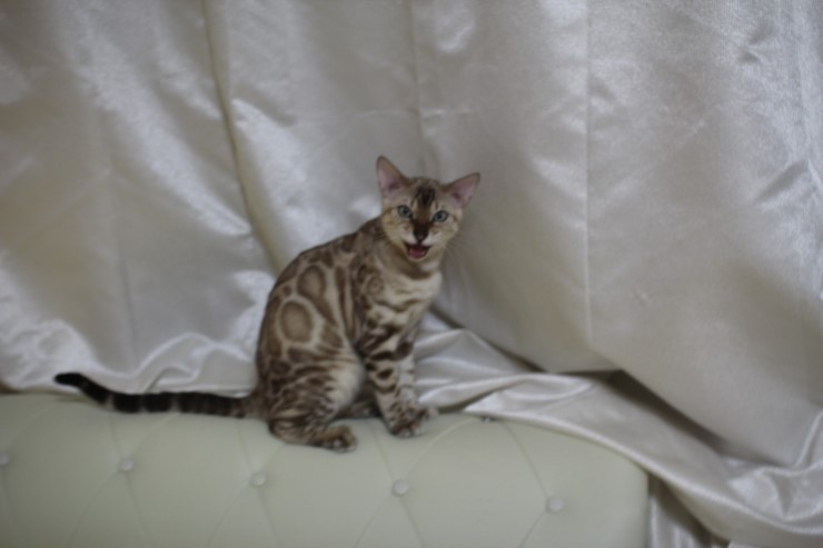 화난 영웅이~ 관련 이미지 1