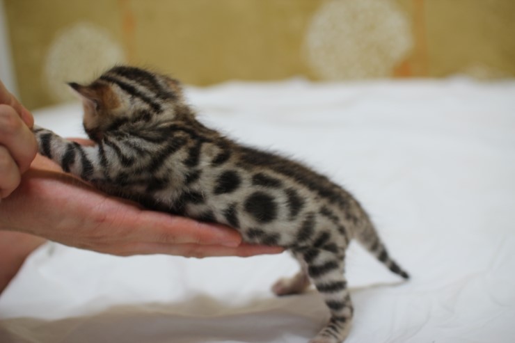 성장모습~ 관련 이미지 7