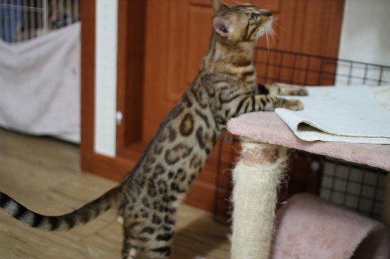 어른이 되어가는 엘리와 레이~ 관련 이미지 4