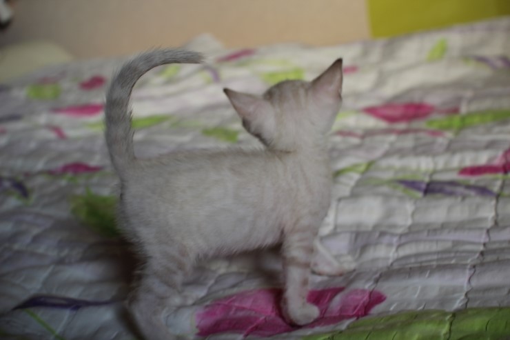 실링스 여아 입니다~ 관련 이미지 1