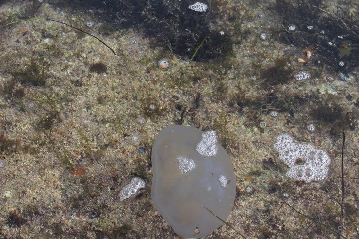 강원도 휴휴암 다녀왔습니다.. 관련 이미지 7