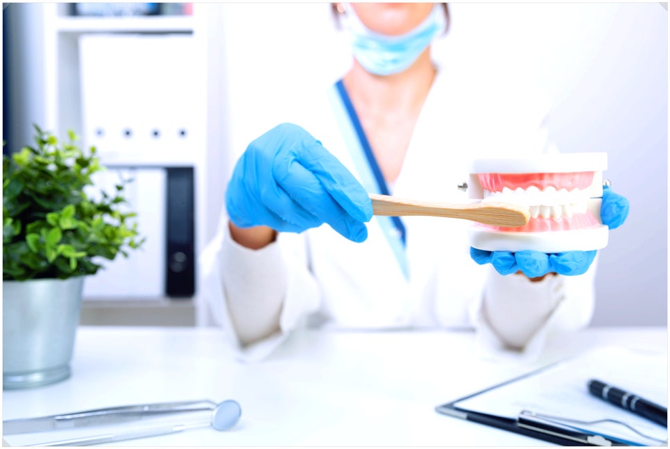 아무리 잘 닦아도 칫솔 교체주기 <제대로> 모르면 소용 없어요 관련 이미지 6