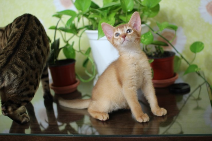 아비 꼬맹이들~ 관련 이미지 1