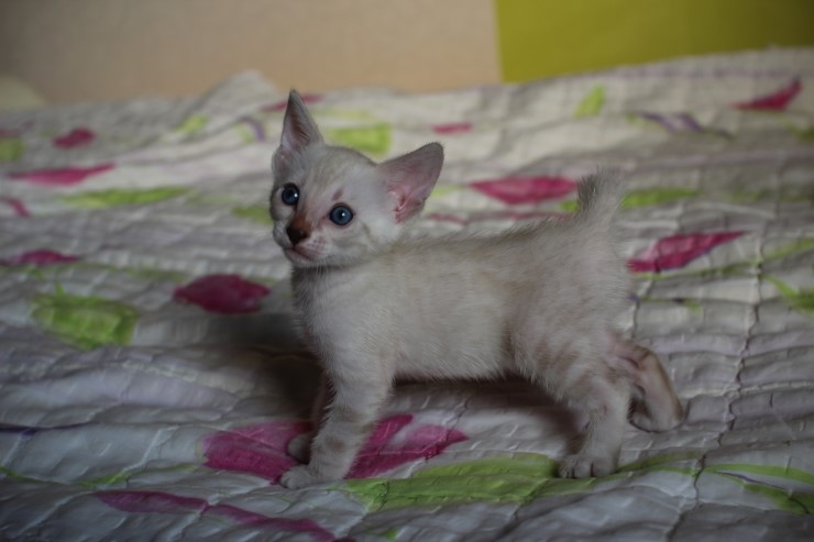 실링스 여아 입니다~ 관련 이미지 5