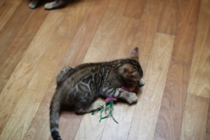 붕어는 내꺼야 아무도 오지마~~ 관련 이미지 1