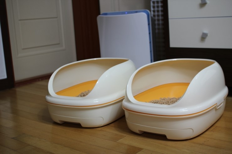 화장실 교체중~(냥토모) 관련 이미지 1