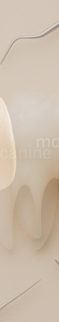 Looking Into Full Implant Placement Methods and Precautions image 19