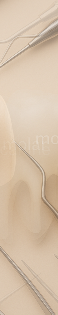 Looking Into Full Implant Placement Methods and Precautions image 20