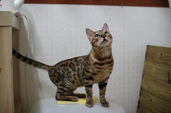 어른이 되어가는 엘리와 레이~ 관련 이미지 2