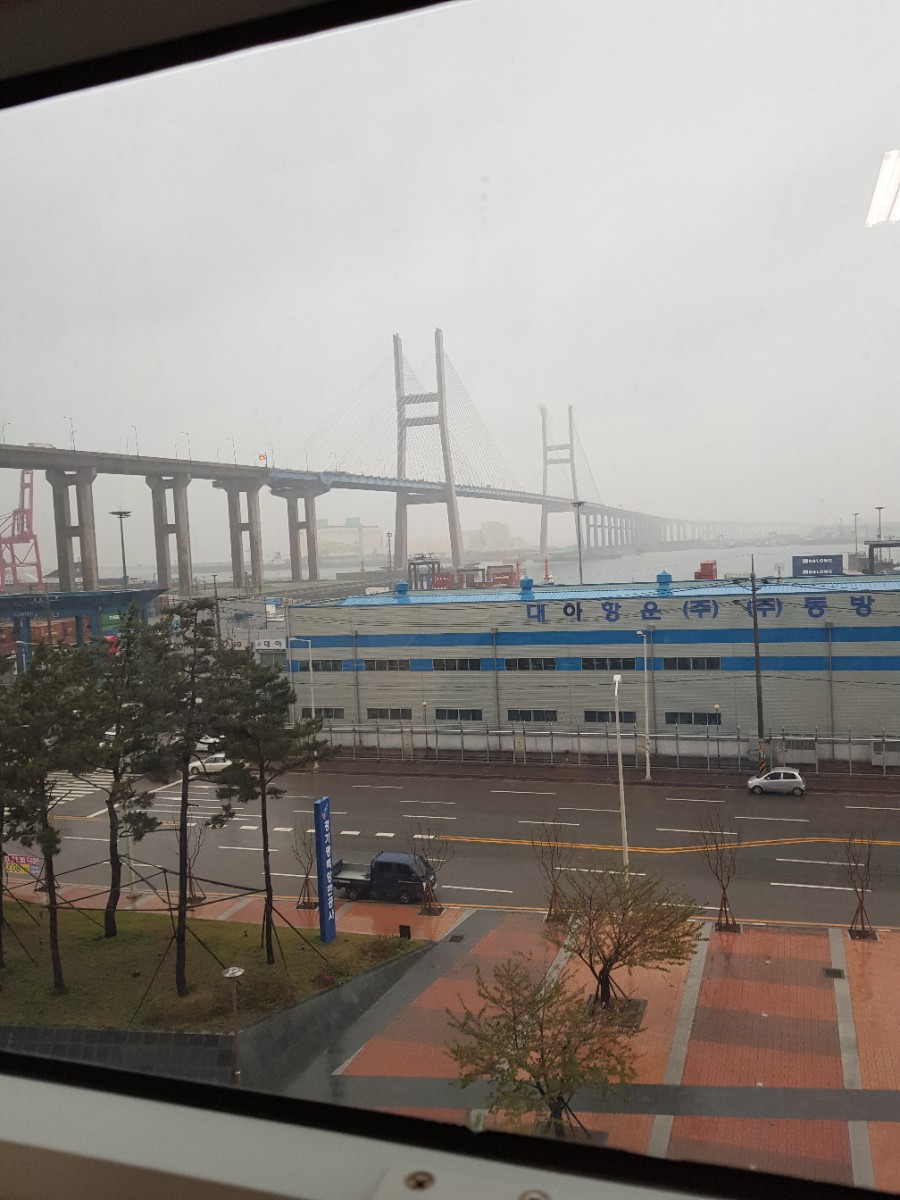 검역소 다녀왔어요 관련 이미지 1