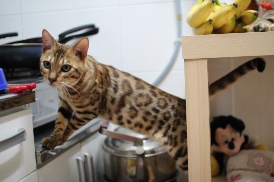 어른이 되어가는 엘리와 레이~ 관련 이미지 7