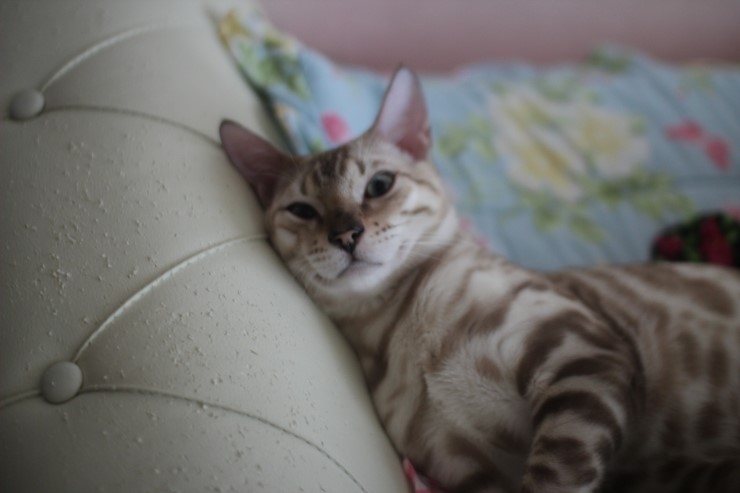 아휴 못살어~ 관련 이미지 1