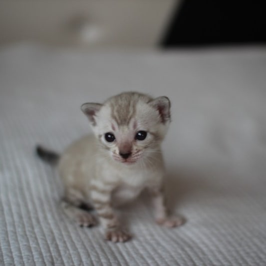 새해 복 많이 받으세요~ 관련 이미지 1