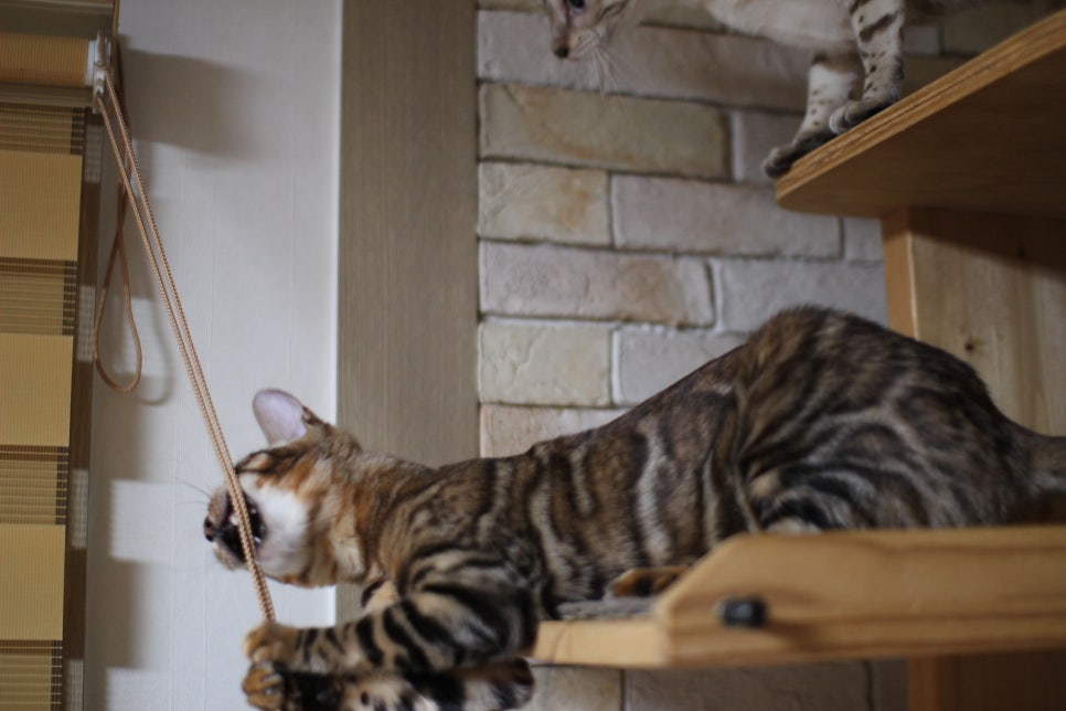 새해 복 많이 받으세요~ 관련 이미지 4