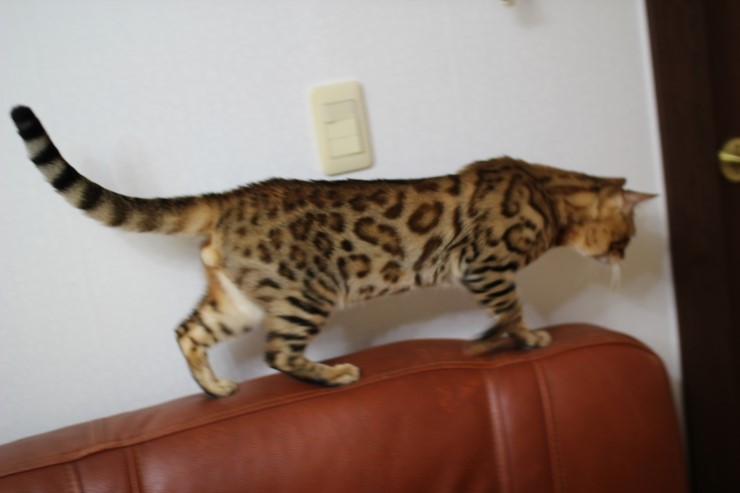 아빠가 될 레이.. 관련 이미지 5