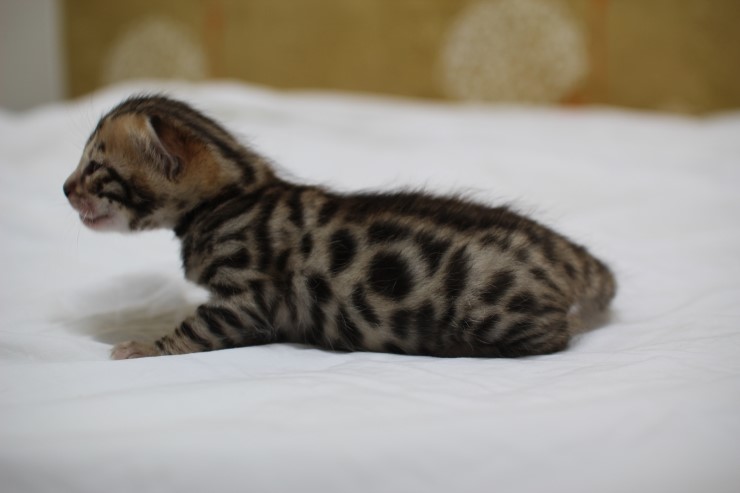 성장모습~ 관련 이미지 5