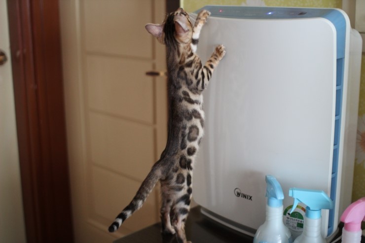 ㅎㅎㅎ 관련 이미지 1