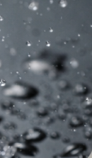 신사역 라미네이트 치과, 자연스러운 미소를 결정짓는 비밀 관련 이미지 28