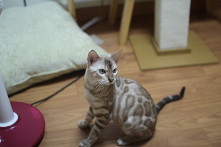 화난 영웅이~ 관련 이미지 3