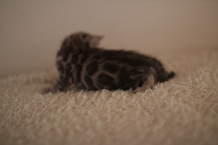 실버 남아예요~ 관련 이미지 8