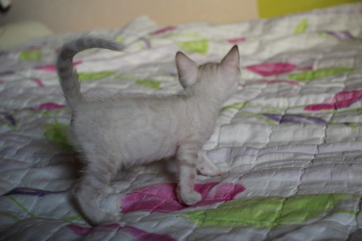 실링스 여아 입니다~ 관련 이미지 2