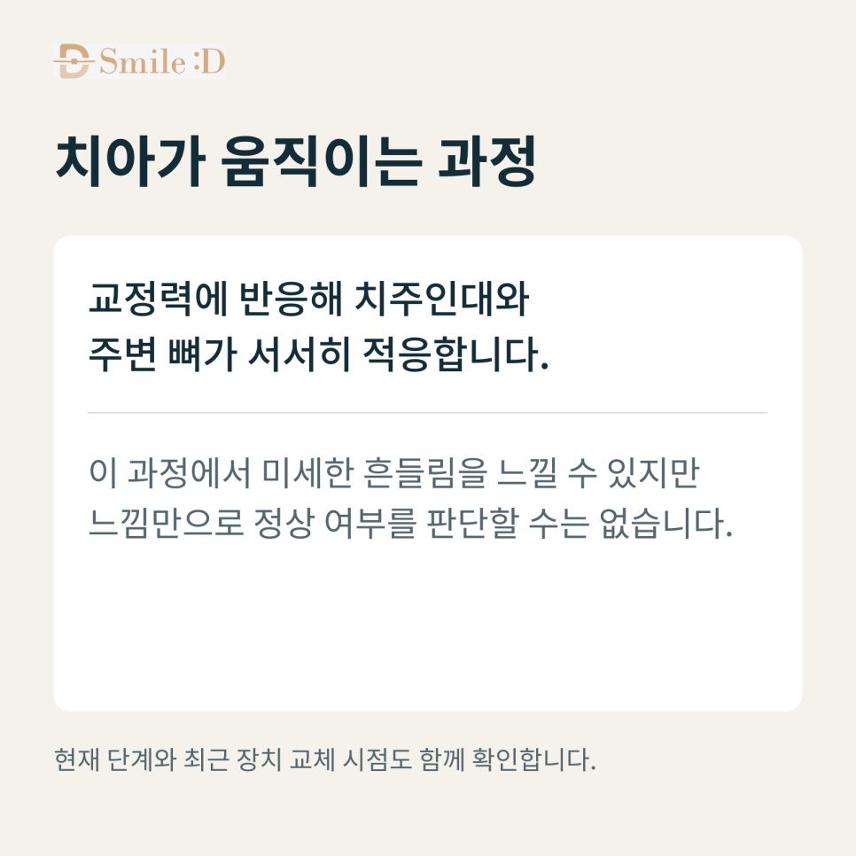 신사역 인비절라인, 교정 중 치아가 흔들려도 괜찮을까요? 관련 이미지 6