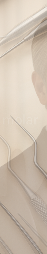 Looking Into Full Implant Placement Methods and Precautions image 41