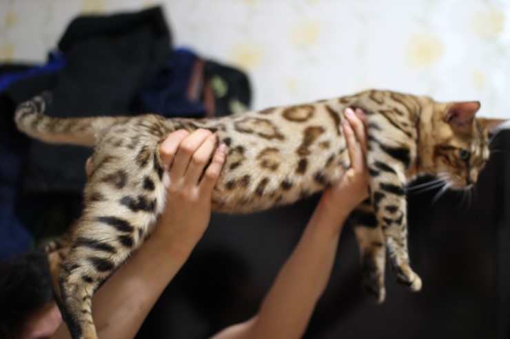 멋있게 성장중인 레이 ㅎㅎ 관련 이미지 7