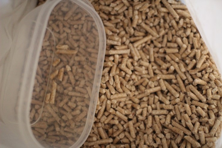 소유뱅갈고양이 캐터리에 사용중인 용품 관련 이미지 4