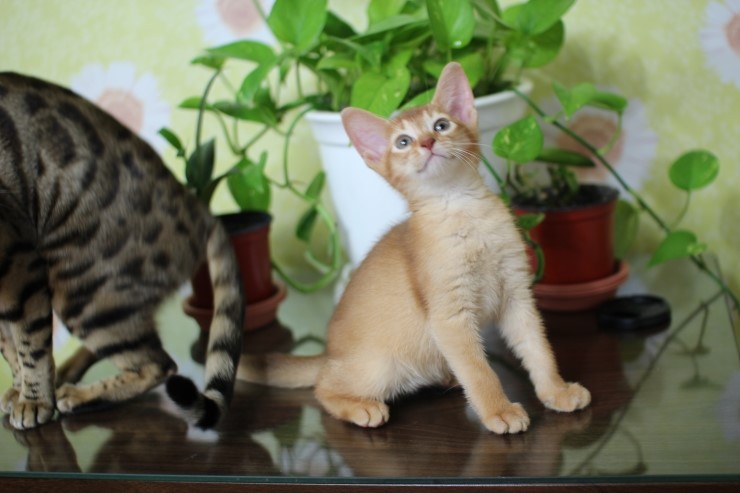 아비 꼬맹이들~ 관련 이미지 2