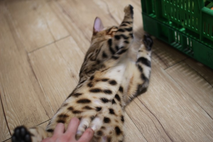 멋있게 성장중인 레이 ㅎㅎ 관련 이미지 4