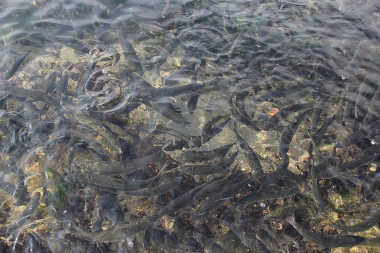 강원도 휴휴암 다녀왔습니다.. 관련 이미지 5