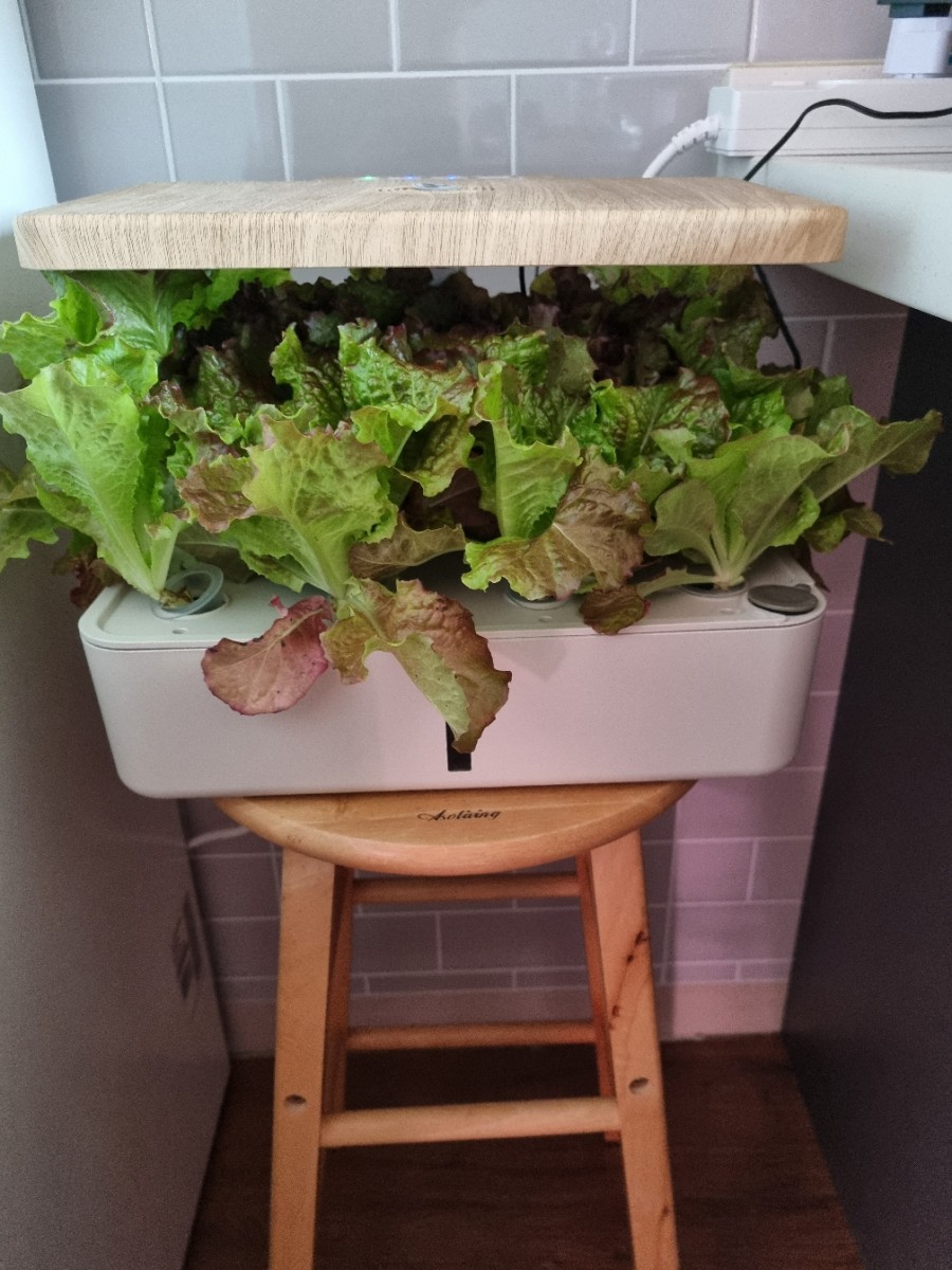 하루가 다르게 쑥쑥~ 관련 이미지 1