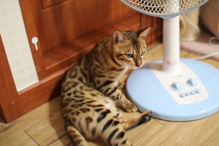 멋있게 성장중인 레이 ㅎㅎ 관련 이미지 1